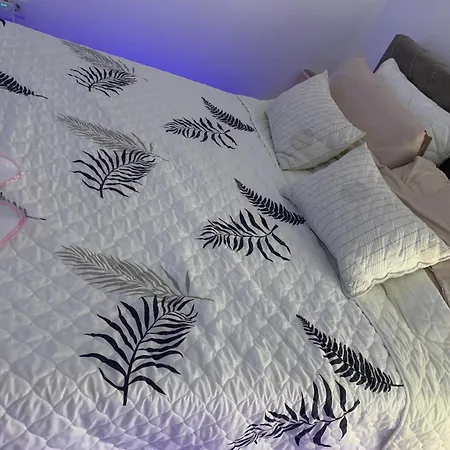 Petra * 雅戈丁那