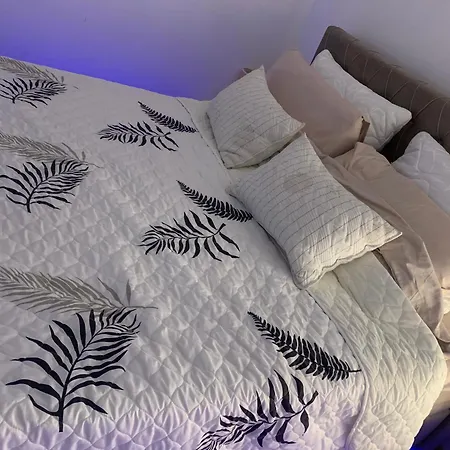 Apartment Petra Jagodina