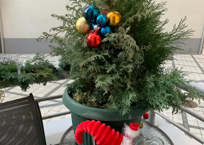 Διαμέρισμα Petra *